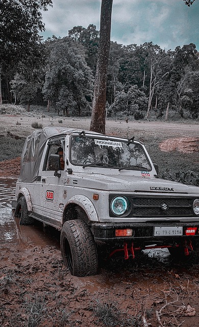 憑初期階段 憑初期階段