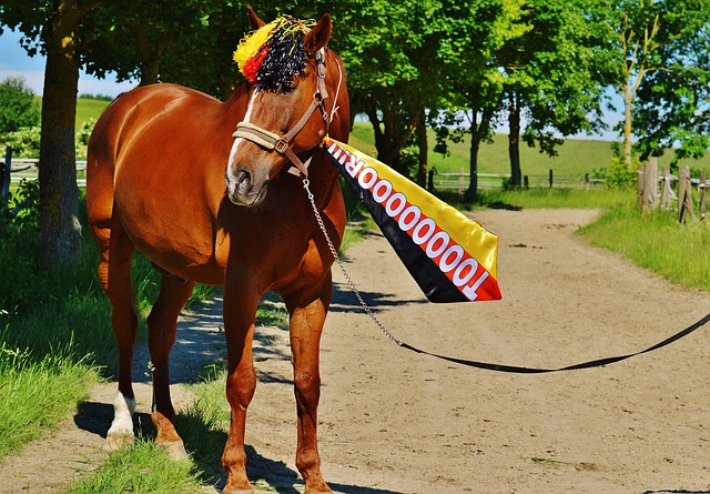 在连续的比 在连续的比