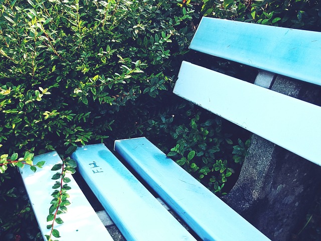 季乐透抽签 季乐透抽签