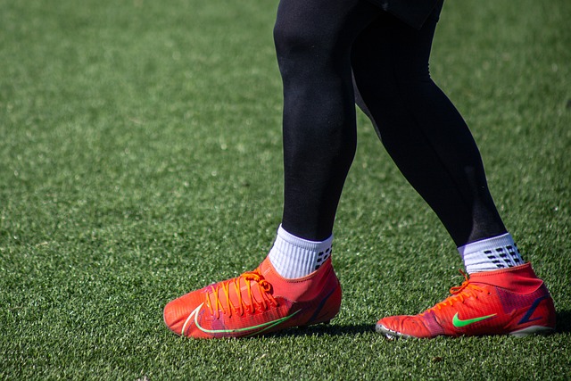 在他的体系 在他的体系