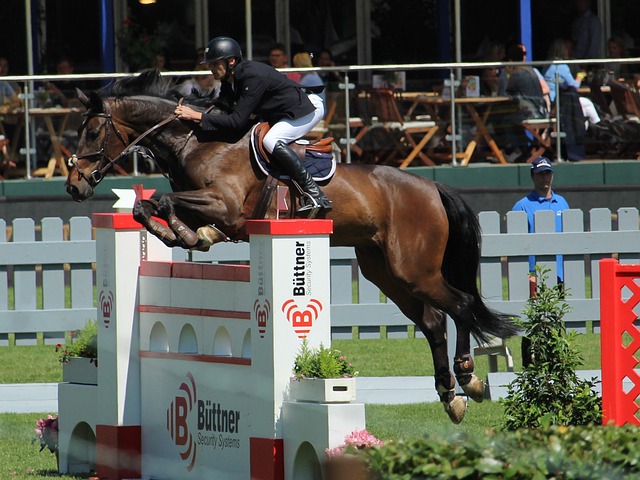 不仅能够帮 不仅能够帮